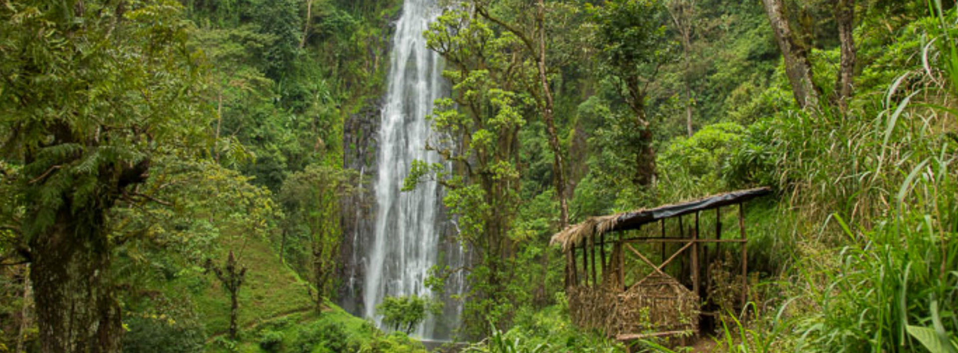 Kilimanjaro Ulusal Parkı: Şelaleler ve Kahve Turu